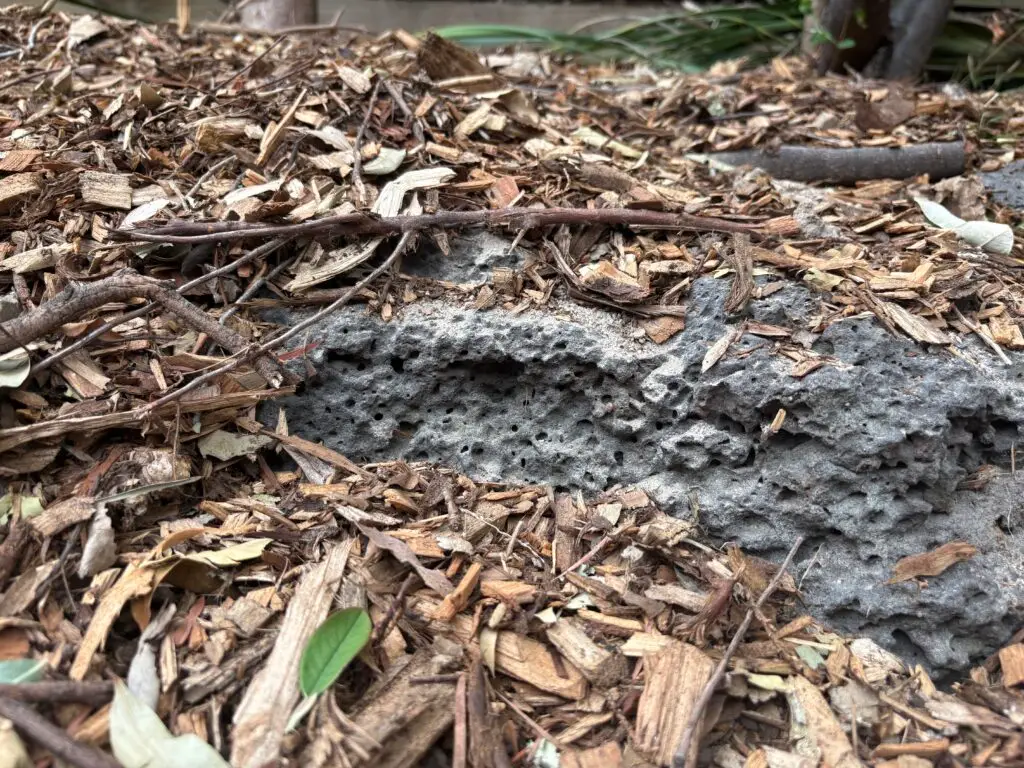 An image showing a boulder terrace in Victoria Australia