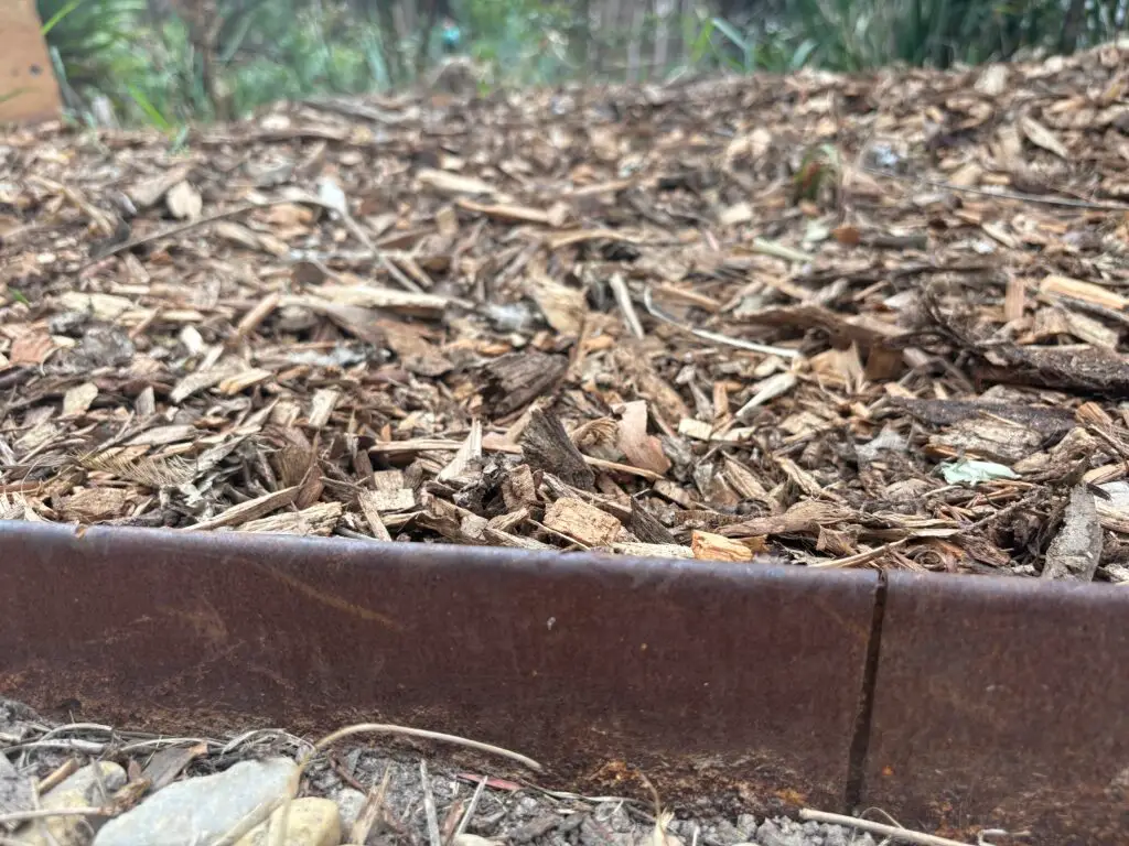 An image showing red gum bark being held back by steel edging