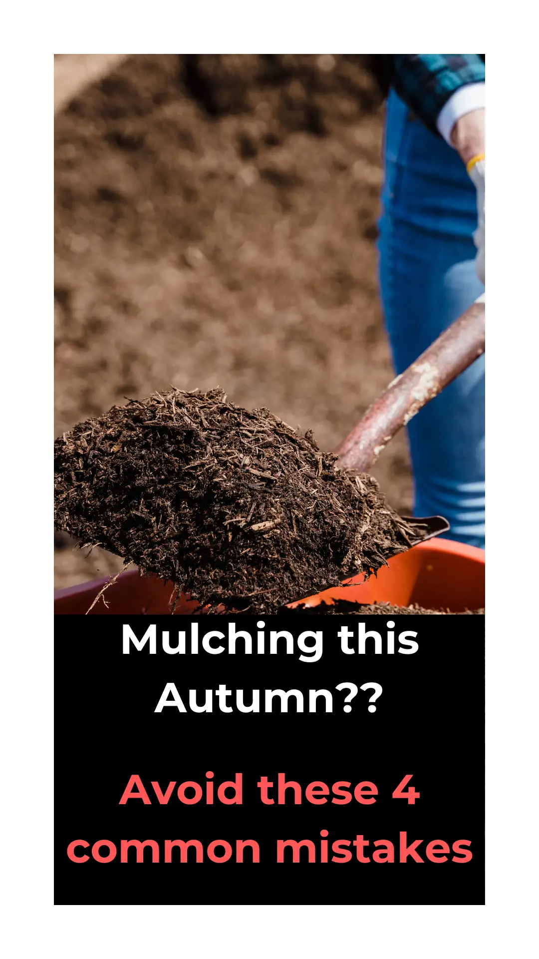 Groundwise - 4 common mulching mistakes to avoid