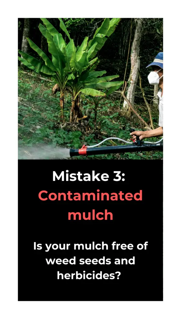 Groundwise - Contaminated mulch