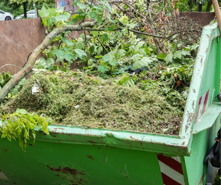 A skip bin full with green waste