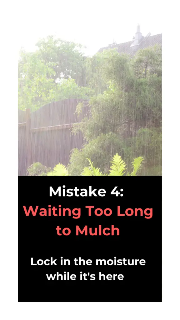Groundwise - when to mulch